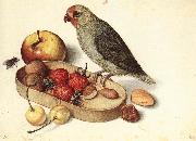 FLEGEL, Georg Still-Life with Pygmy Parrot dfg oil painting on canvas